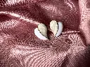 IMG_0094.webp