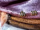 IMG_0181.webp