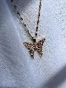 IMG_E1624.webp