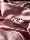 Silver Twin Leaf S0013